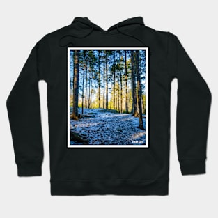 Hemlock Ravine Park 12 Hoodie